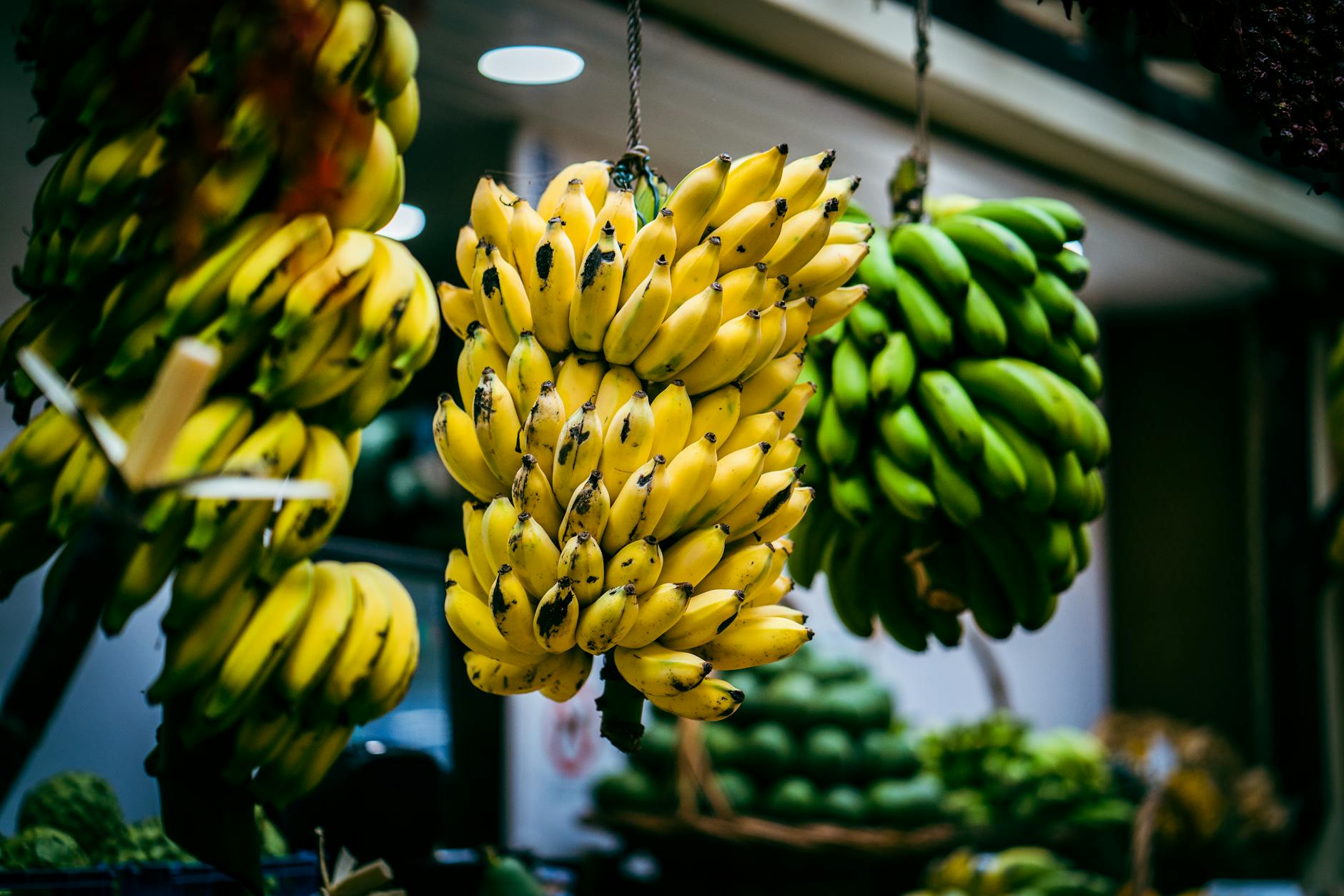 The Fasting Mimicking Diet: What It Is, What It Does, and Who Should Try It